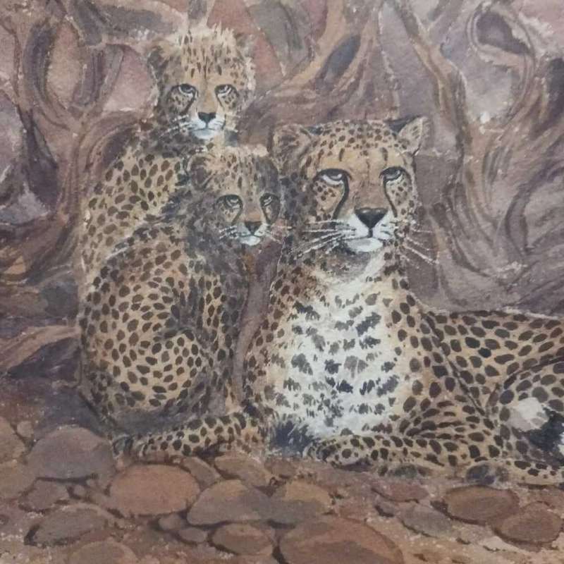Theo Bester cheetah watercolour