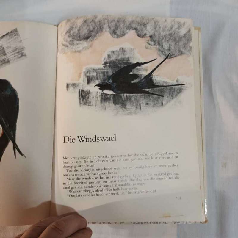 Leonardo da Vinci. Fables en Legendes. Afrikaans children's book