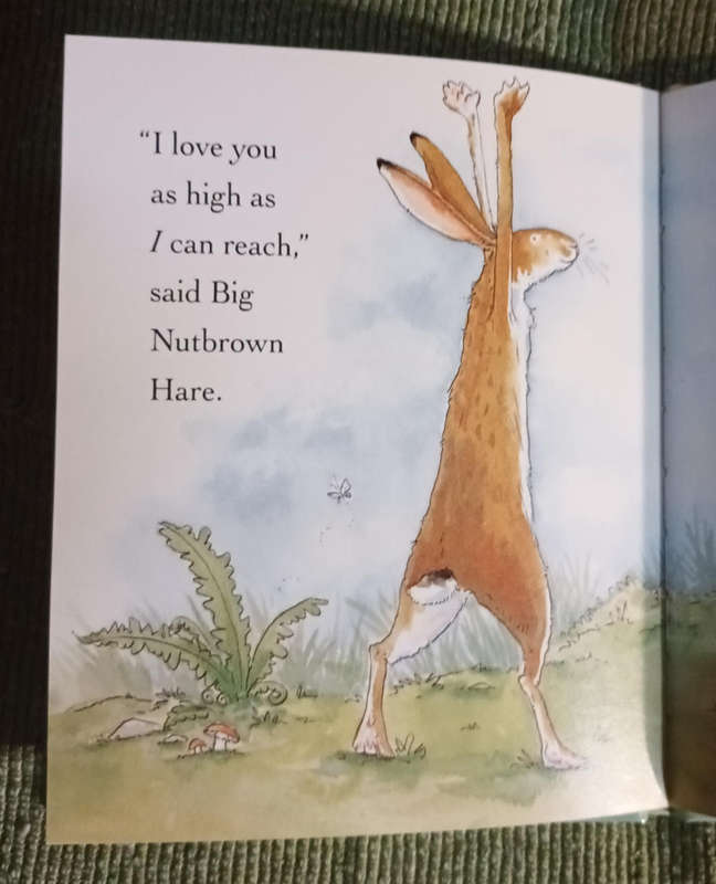 Guess how much I love you by Sam McBratney