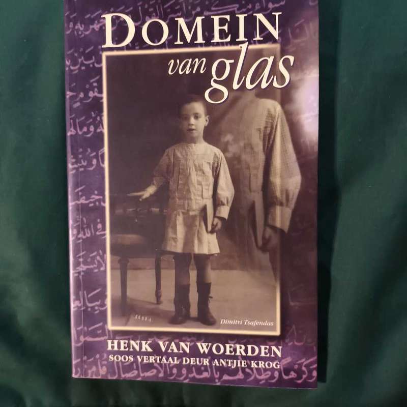 Domein van glas deur Henk van Woerden