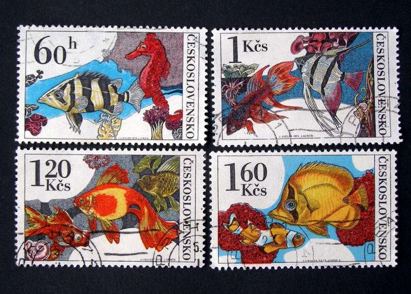 CZECHOSLOVAKIA - Aquarium Fishes 1975