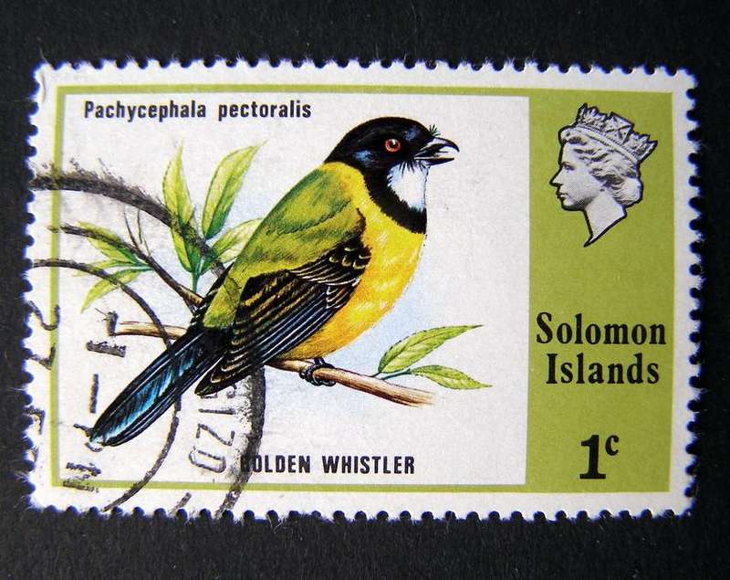 SOLOMON ISLANDS - Birds 1975
