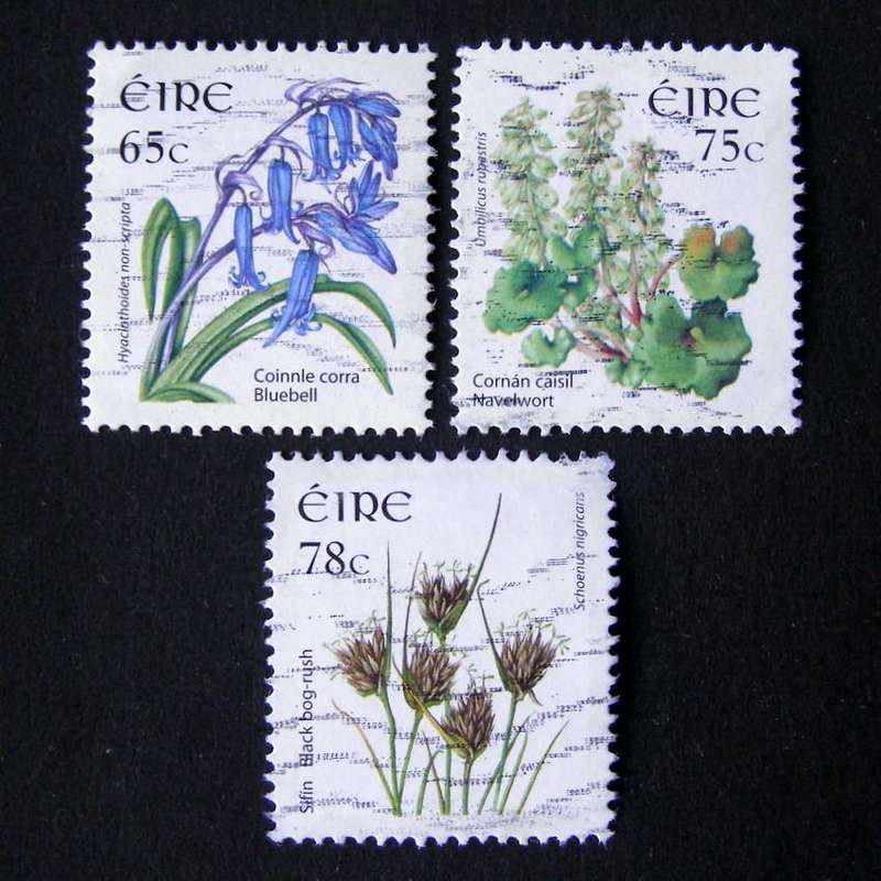 IRELAND - Wild Flowers 2004