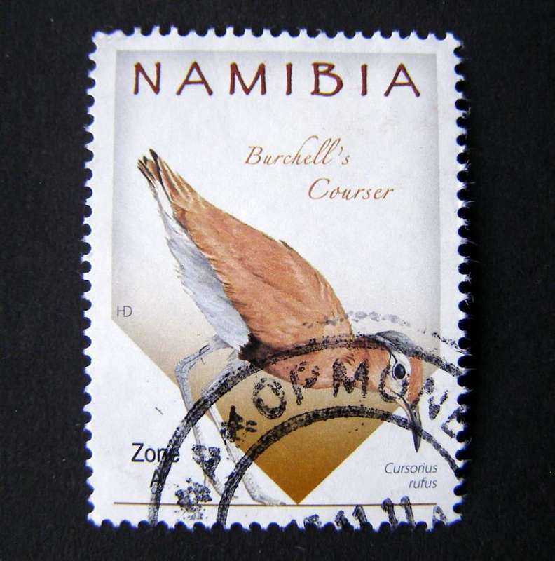 NAMIBIA - Birds 2015