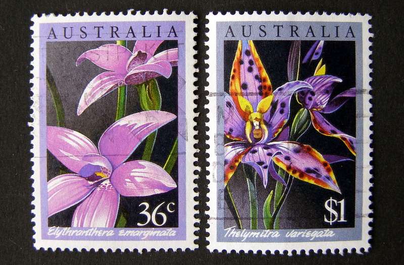 AUSTRALIA - Native Orchids 1986 //Flowers