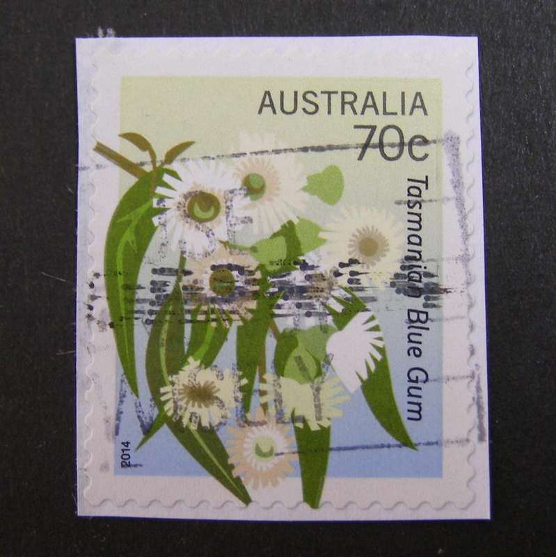 AUSTRALIA (self-adhesive on piece) - Floral Emblems 2014 //Flowers