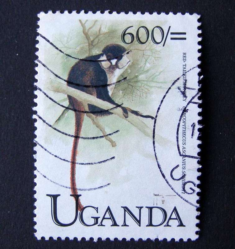 UGANDA - Primates 1999