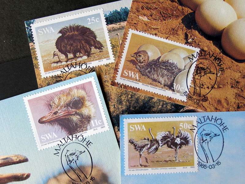 SWA Maxi Card Set - Ostriches 1985 //Birds