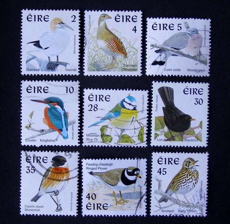 IRELAND - Birds 1997
