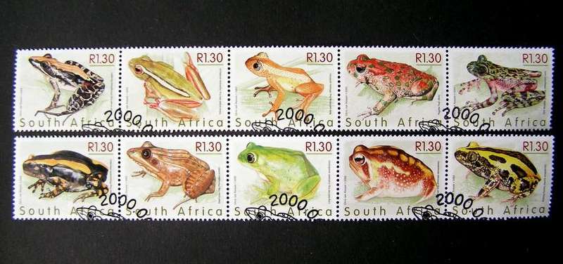 SOUTH AFRICA Set (First Day Cancel) - Frogs 2000