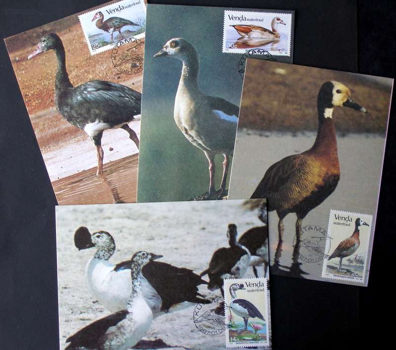 VENDA Maxi Card Set - Waterfowl 1987 //Birds