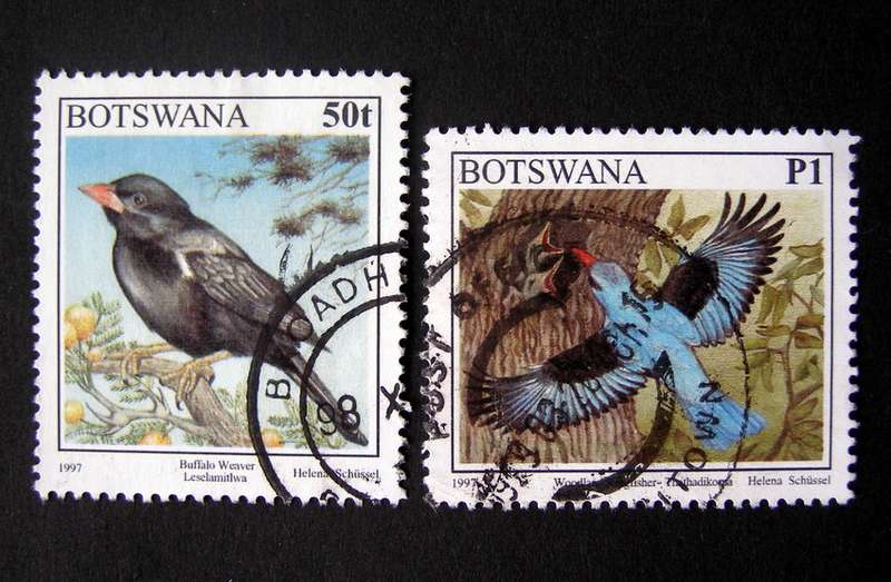 BOTSWANA - Birds 1997
