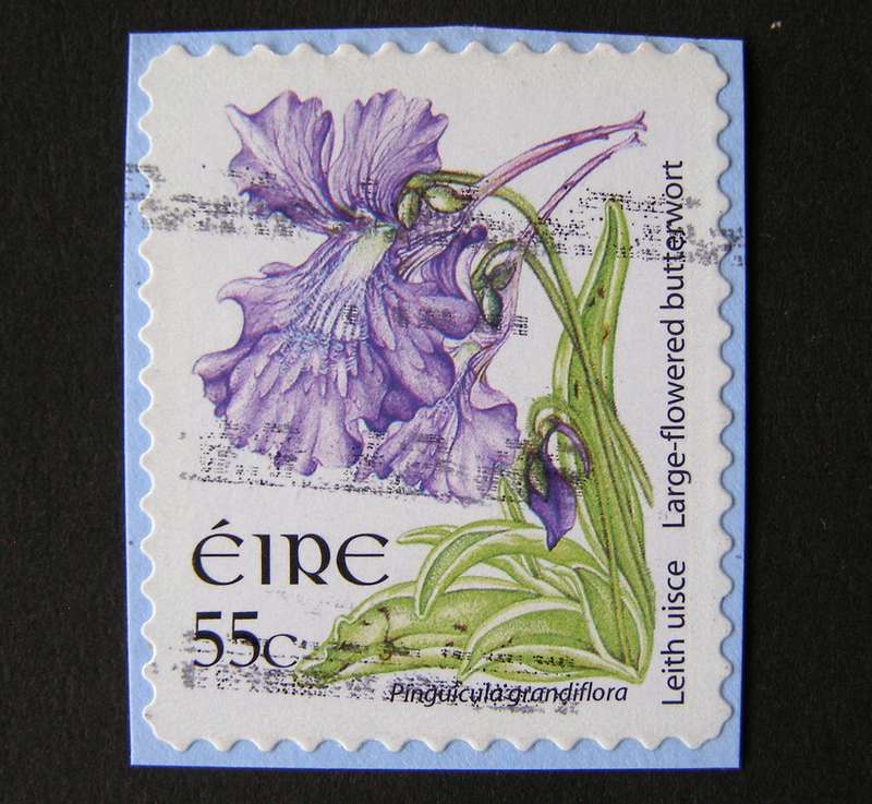 IRELAND (self-adhesive on piece) - Wild Flowers 2004