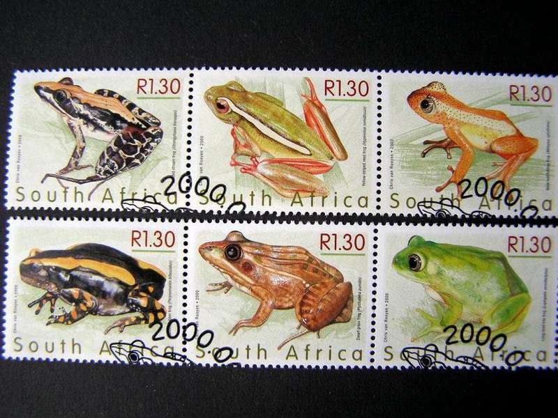 SOUTH AFRICA Set (First Day Cancel) - Frogs 2000
