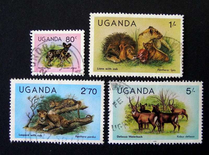 UGANDA - Wildlife 1979 //Animals