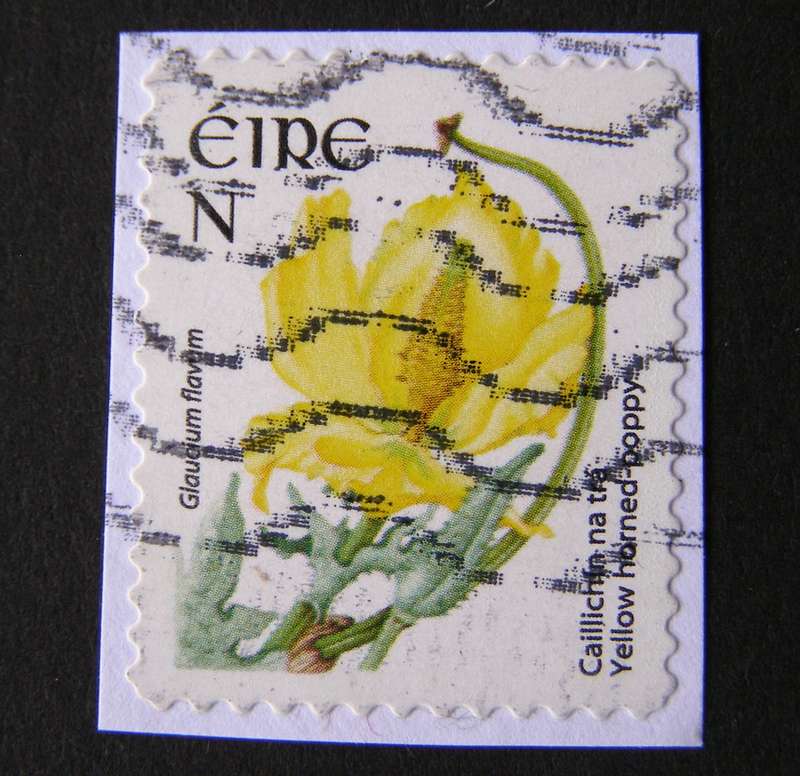 IRELAND (self-adhesive on piece) - Wild Flowers (small 20 x 24mm) 2004