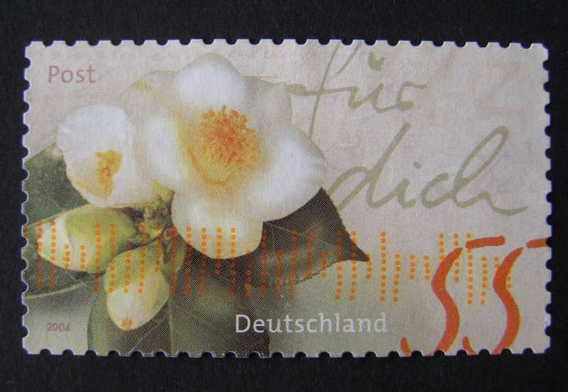 GERMANY - Greetings 2004 //Flowers