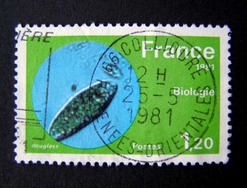 FRANCE - Technology 1981