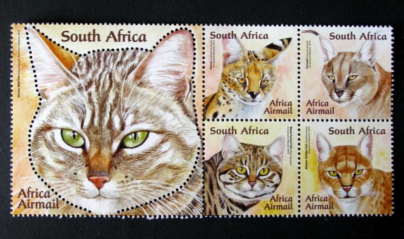 SOUTH AFRICA Mint Set - African Small Wild Cats 2011