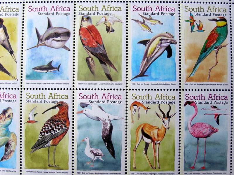 SOUTH AFRICA Mint Set - Migratory Species 1999 //Birds//Animals