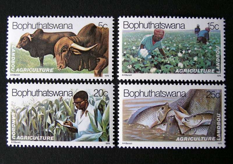 BOPHUTHATSWANA Mint Set - Agriculture 1979