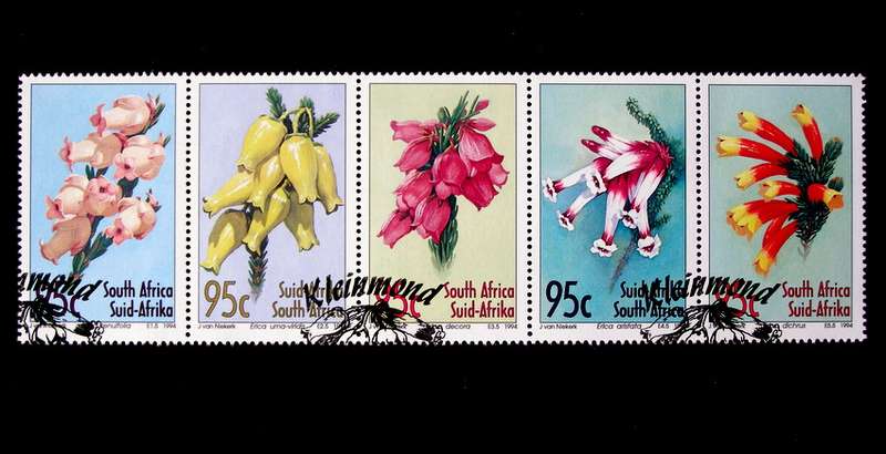 SOUTH AFRICA Set (CTO) - Heathers 1994 //Flowers