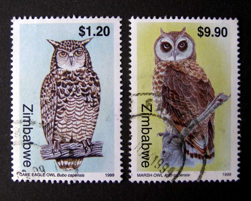 ZIMBABWE - Owls (3rd Series) 1999 //Birds
