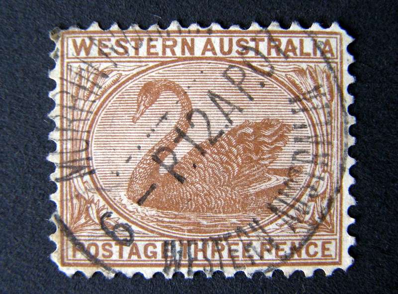 WESTERN AUSTRALIA - Swan 3d. Brown 1871