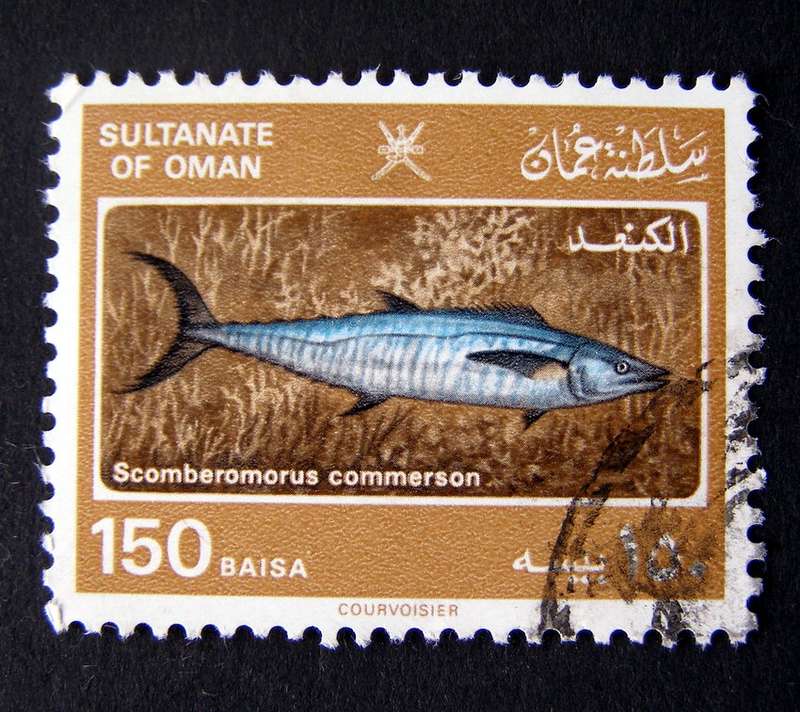 OMAN - Marine Life 1985