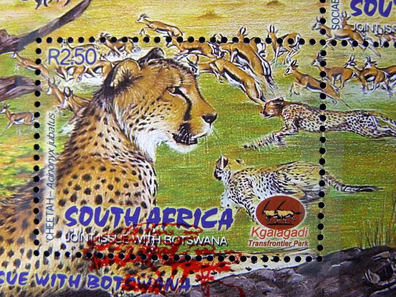 SOUTH AFRICA Miniature Sheet (First Day Cancel) - Kgalagadi Transfrontier Park 2001 //Birds//Animals