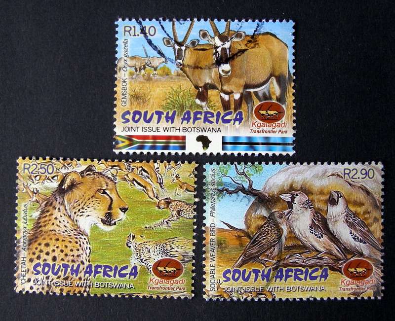 SOUTH AFRICA - Kgalagadi Trans Frontier Park 2001 //Animals//Birds