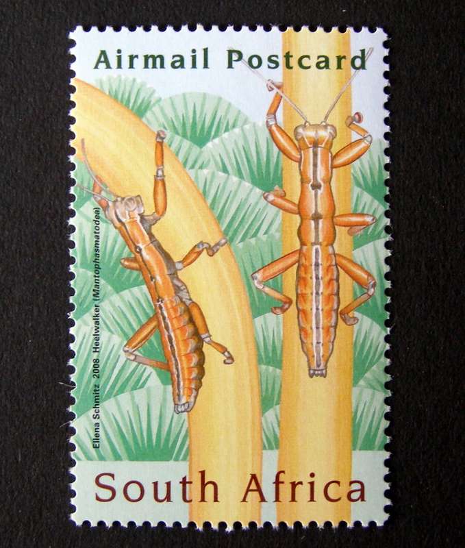 SOUTH AFRICA Mint Set - Entomology Conference 2008