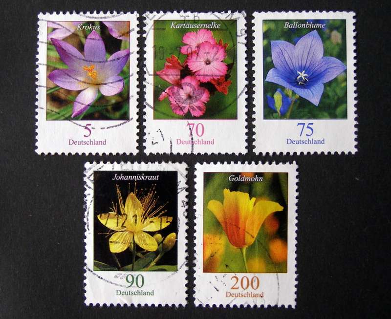 GERMANY - Flowers 2005