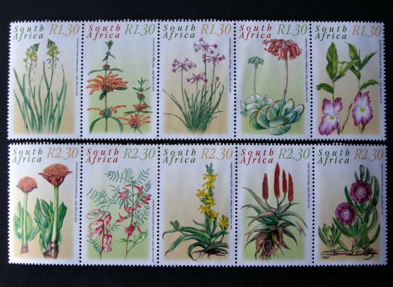 SOUTH AFRICA Mint Set - Medicinal Plants 2000 //Flowers