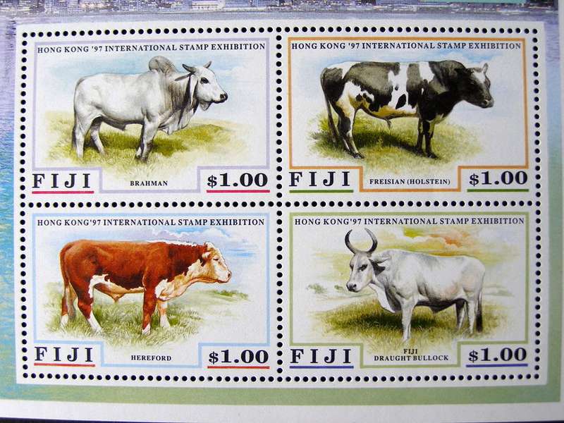 FIJI Mint Miniature Sheet - Hong Kong International Stamp Exhibition: Cattle 1997