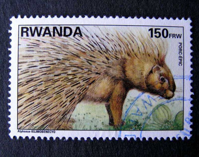 RWANDA - Animals 1998