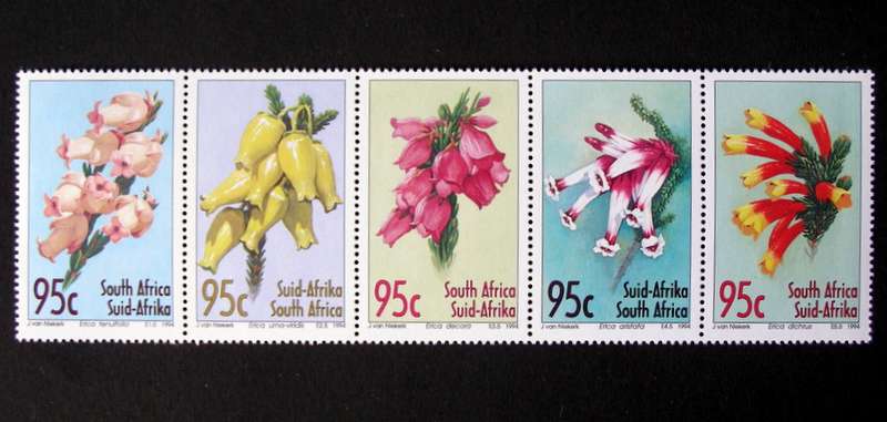 SOUTH AFRICA Mint Set - Heathers 1994 //Flowers