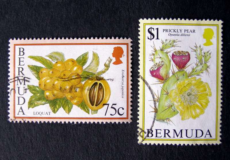 BERMUDA - Flowering Fruits 1994