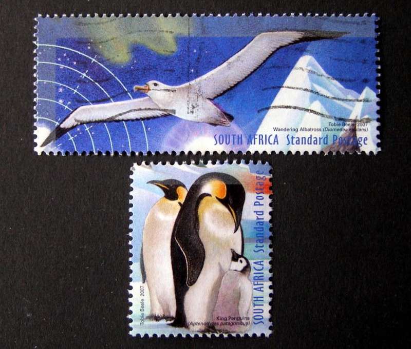 SOUTH AFRICA - International Polar and Heliophysical Year 2007 //Birds