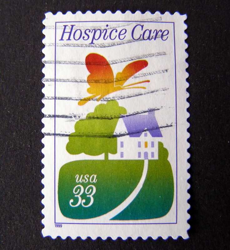 U.S.A. - Hospice Care 1999