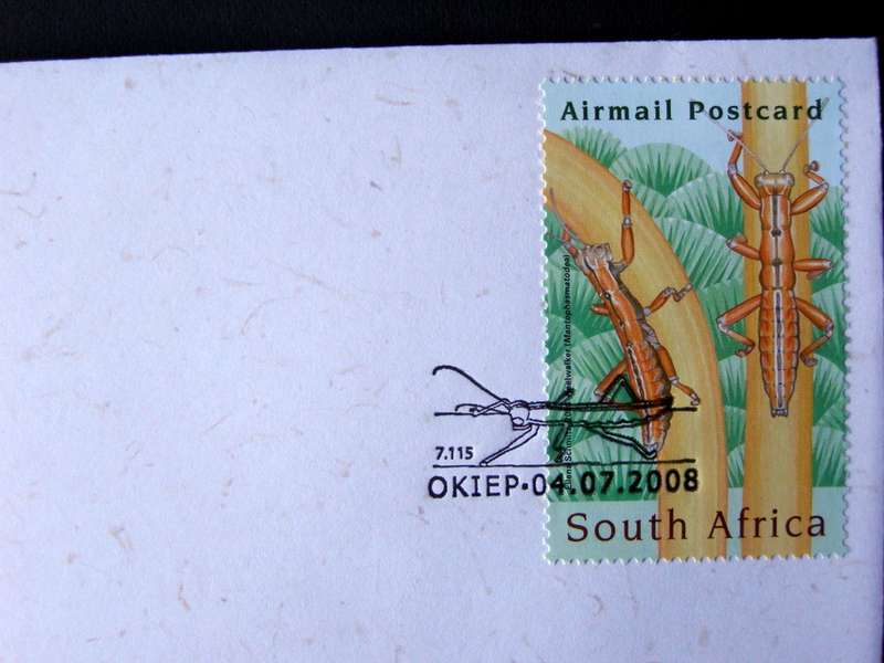 SOUTH AFRICA Cover - Entomology Conference 2008