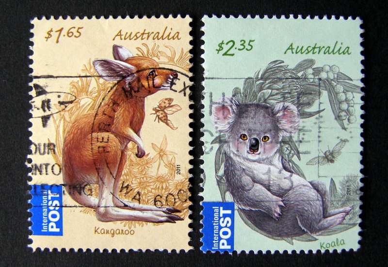 AUSTRALIA - Australian Bush Babies 2011