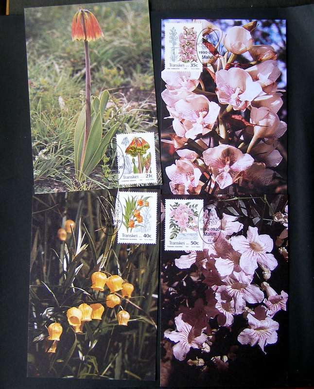 TRANSKEI Maxi Card Set - Indigenous Flora 1990 //Flowers