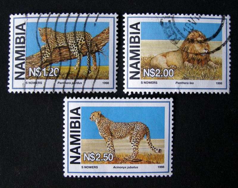 NAMIBIA - Large Wild Cats 1998
