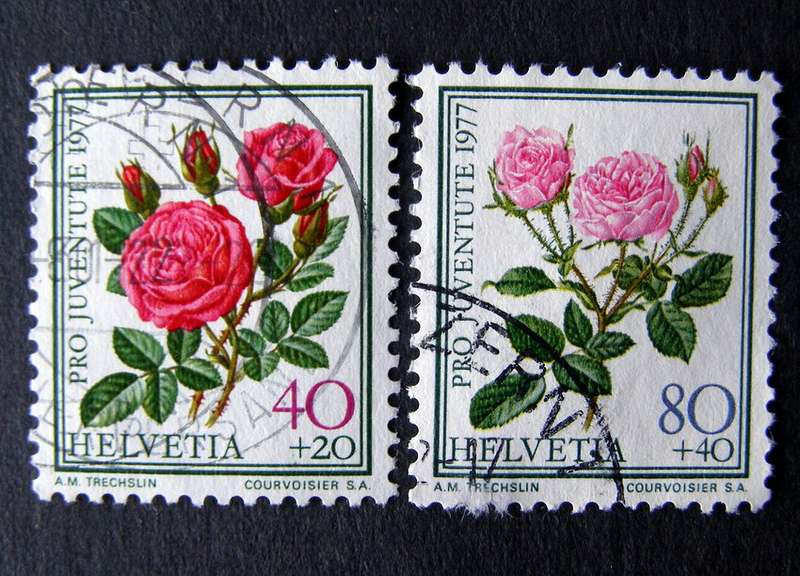 SWITZERLAND - Pro Juventute 1977 //Flowers