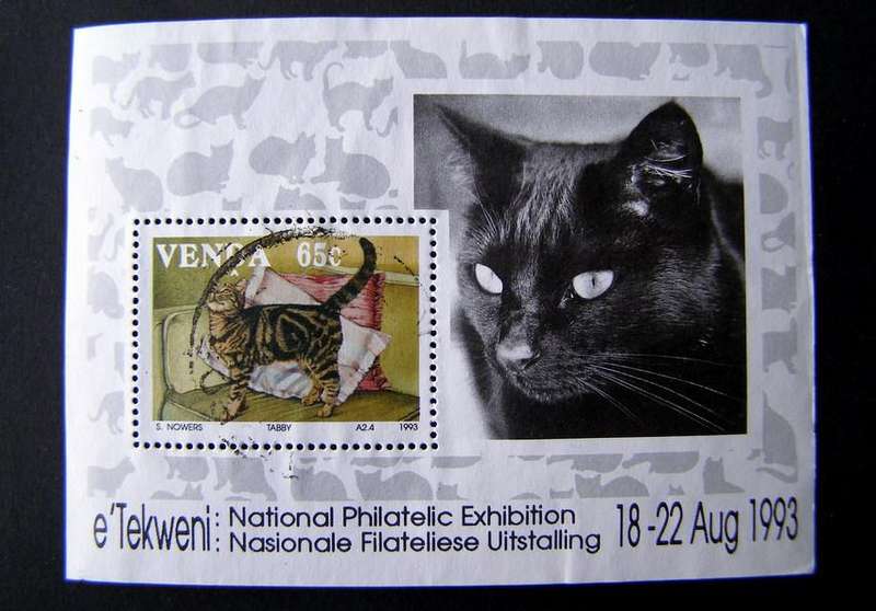VENDA Miniature Sheet - Cats 1993