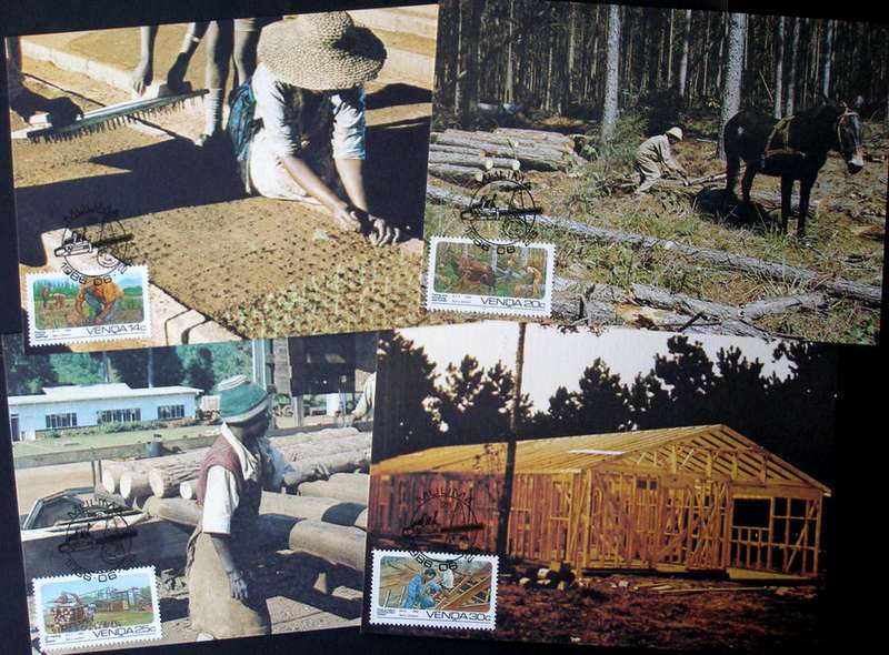 VENDA Maxi Card Set - Forestry 1986