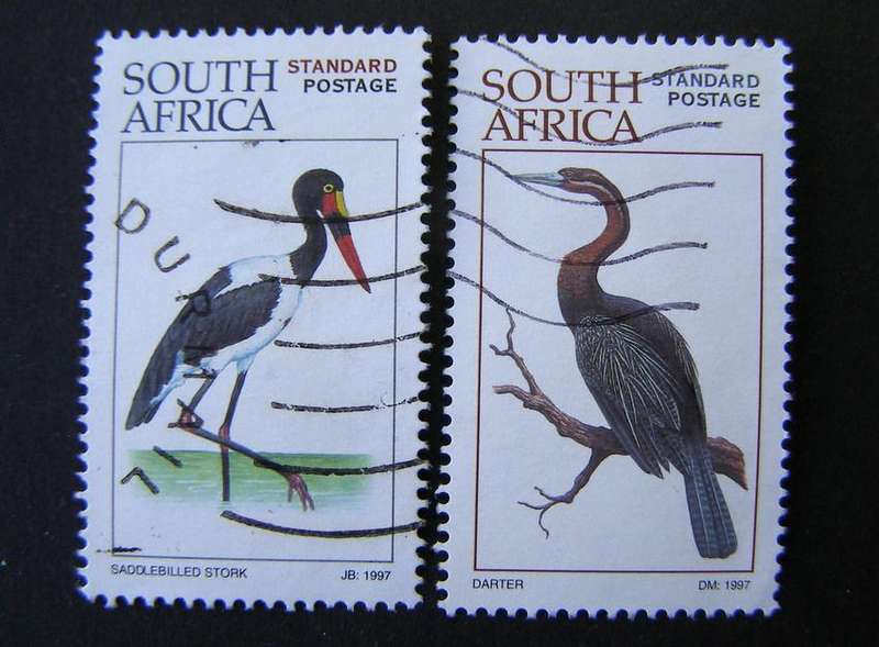 SOUTH AFRICA - Waterbirds 1997