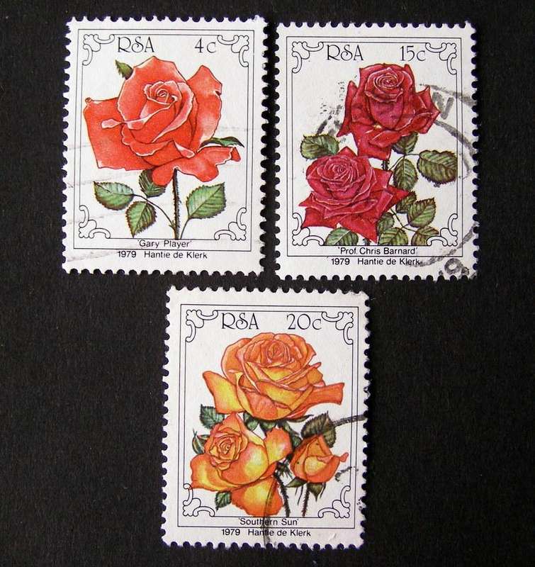 SOUTH AFRICA - Rose Convention 1979
