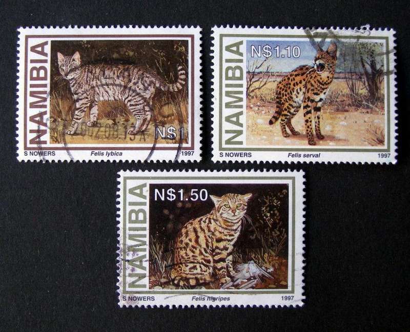 NAMIBIA - Wild Cats 1997